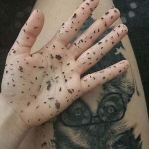 Peeling de tatuajes: ¿es normal que la tinta se desprenda?