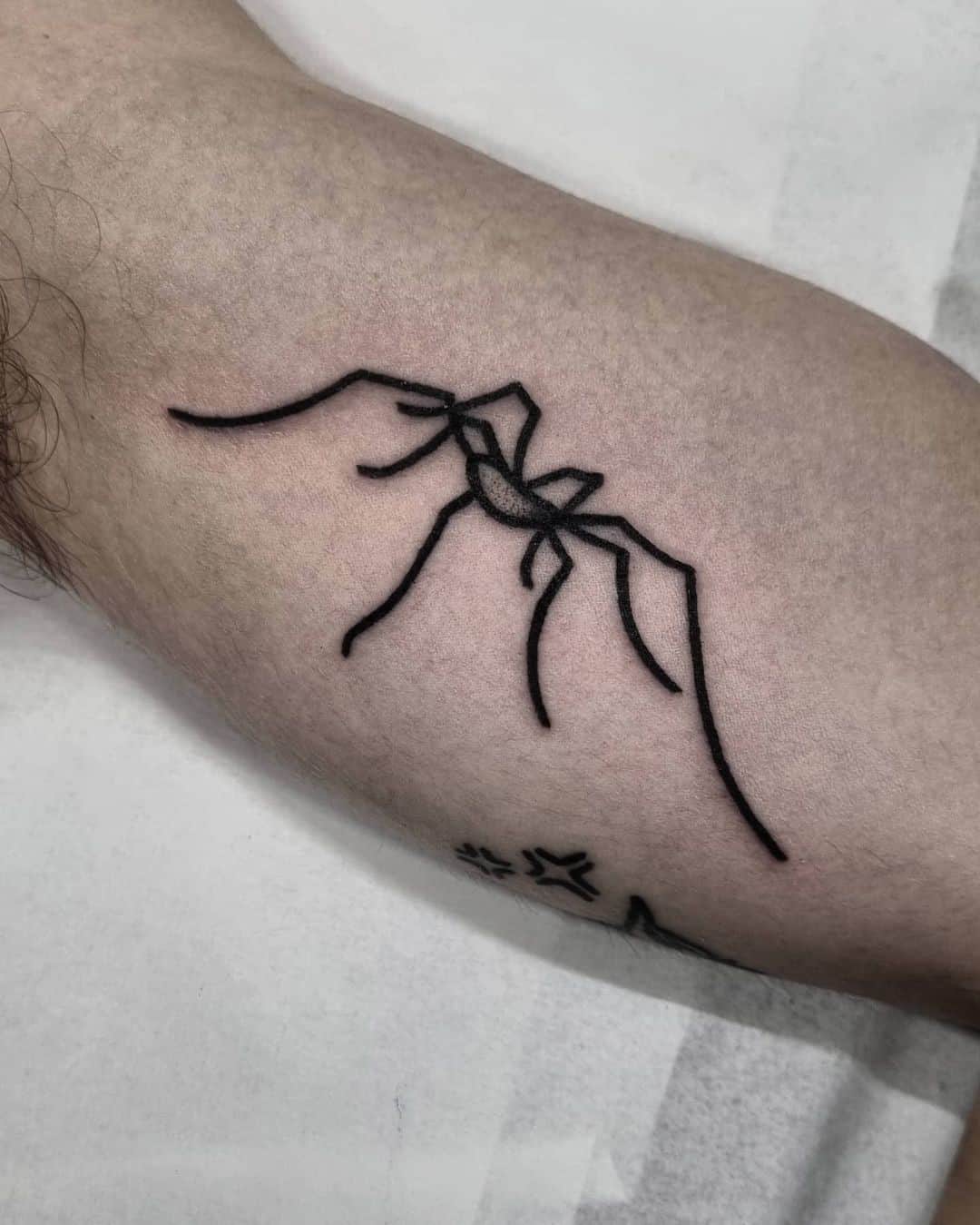 Pequeño y diminuto tatuaje de araña negra 