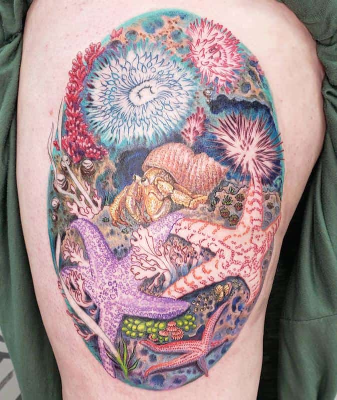 tatuajes de estrellas de mar en la pierna