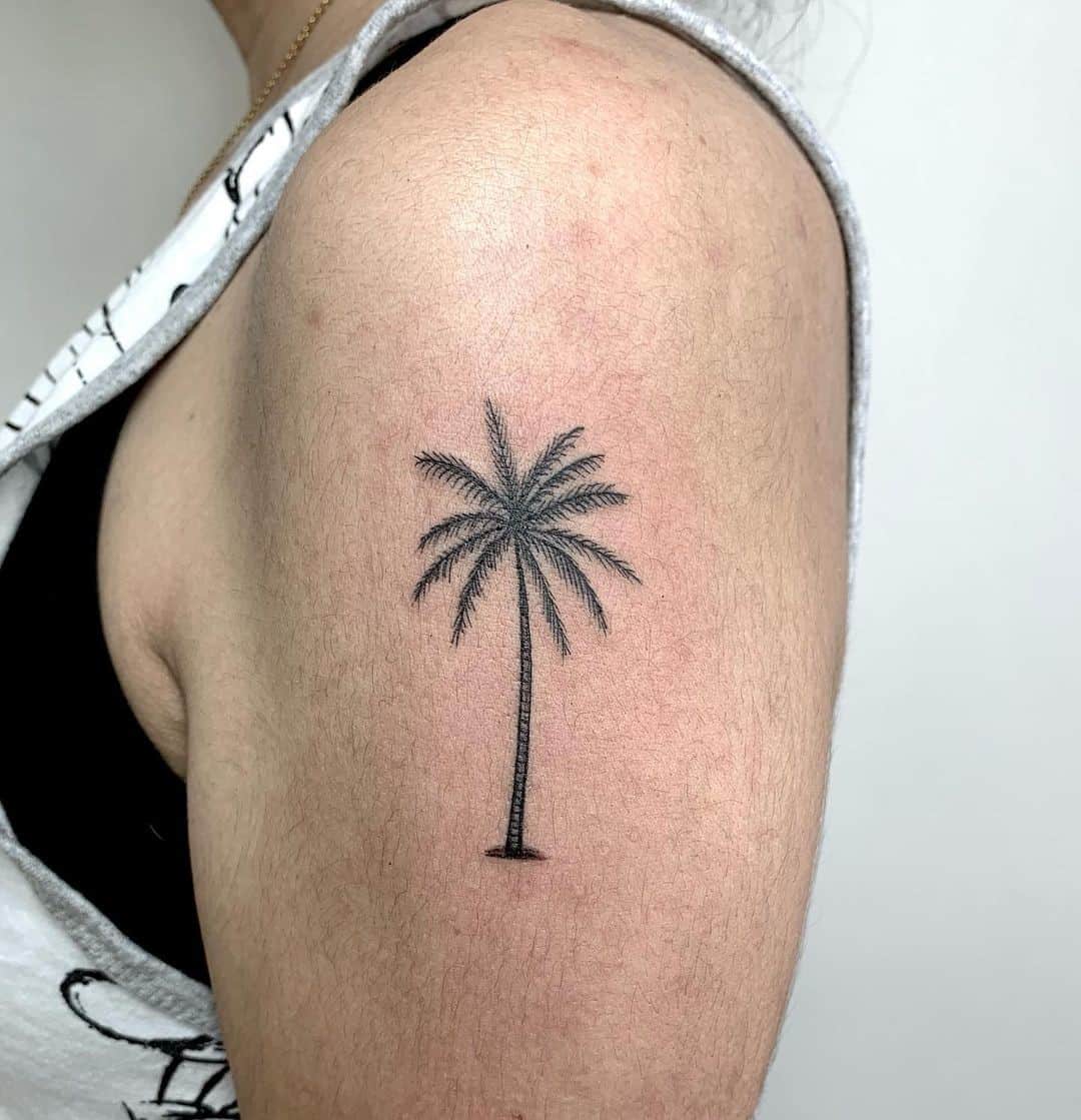 Tatuaje de palmera en el hombro 1
