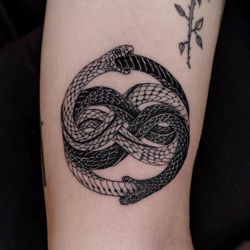 tatuaje de serpiente ouroboros 2