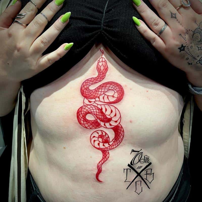 Tatuaje de serpiente roja 1