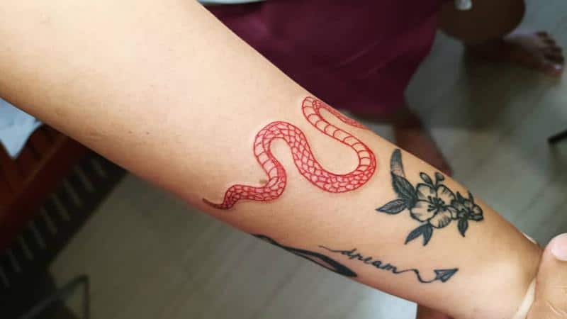 Tatuaje de serpiente roja 6