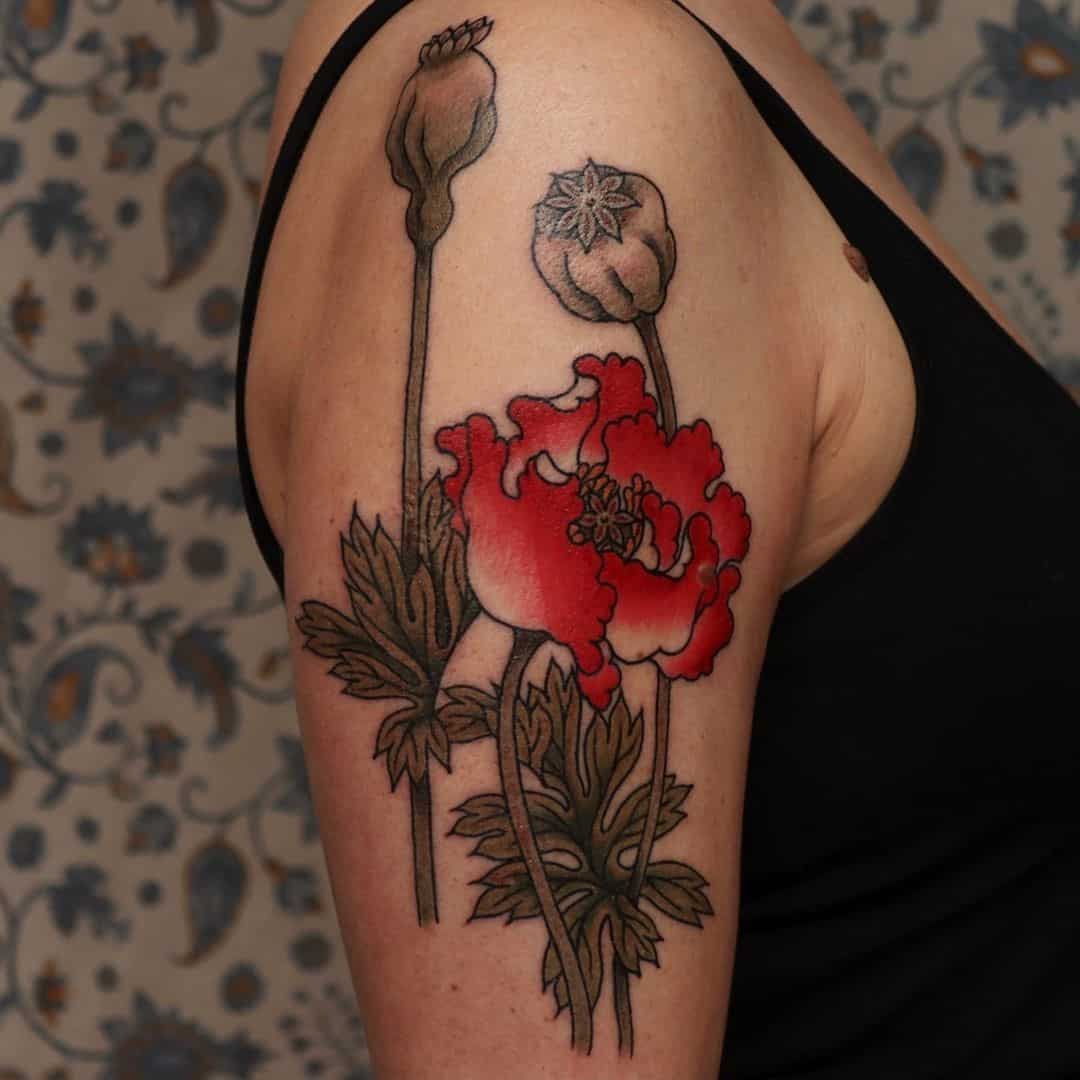 Lindo tatuaje de flor de amapola diseños de tinta de hombro