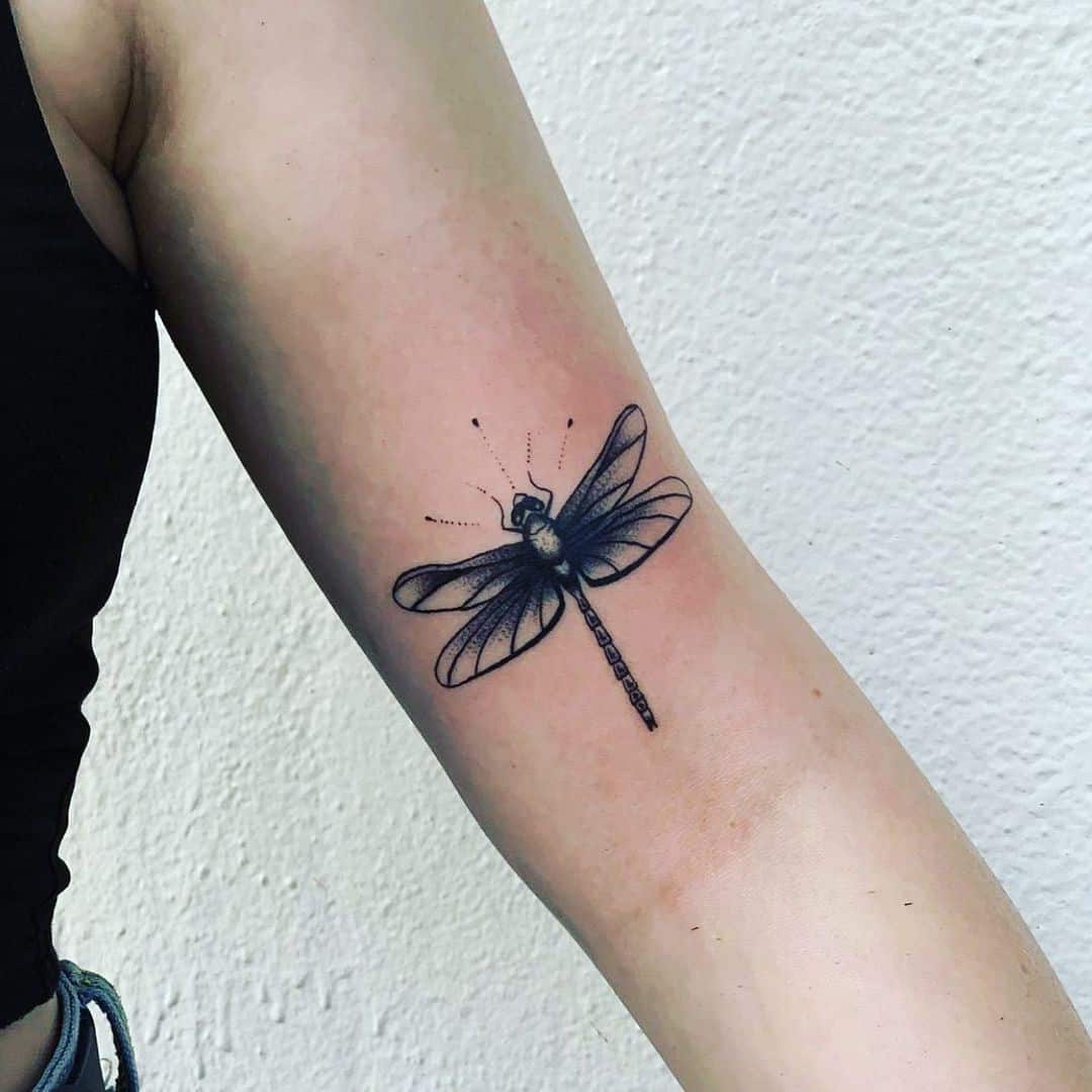 Diseño de tatuaje de libélula en antebrazo
