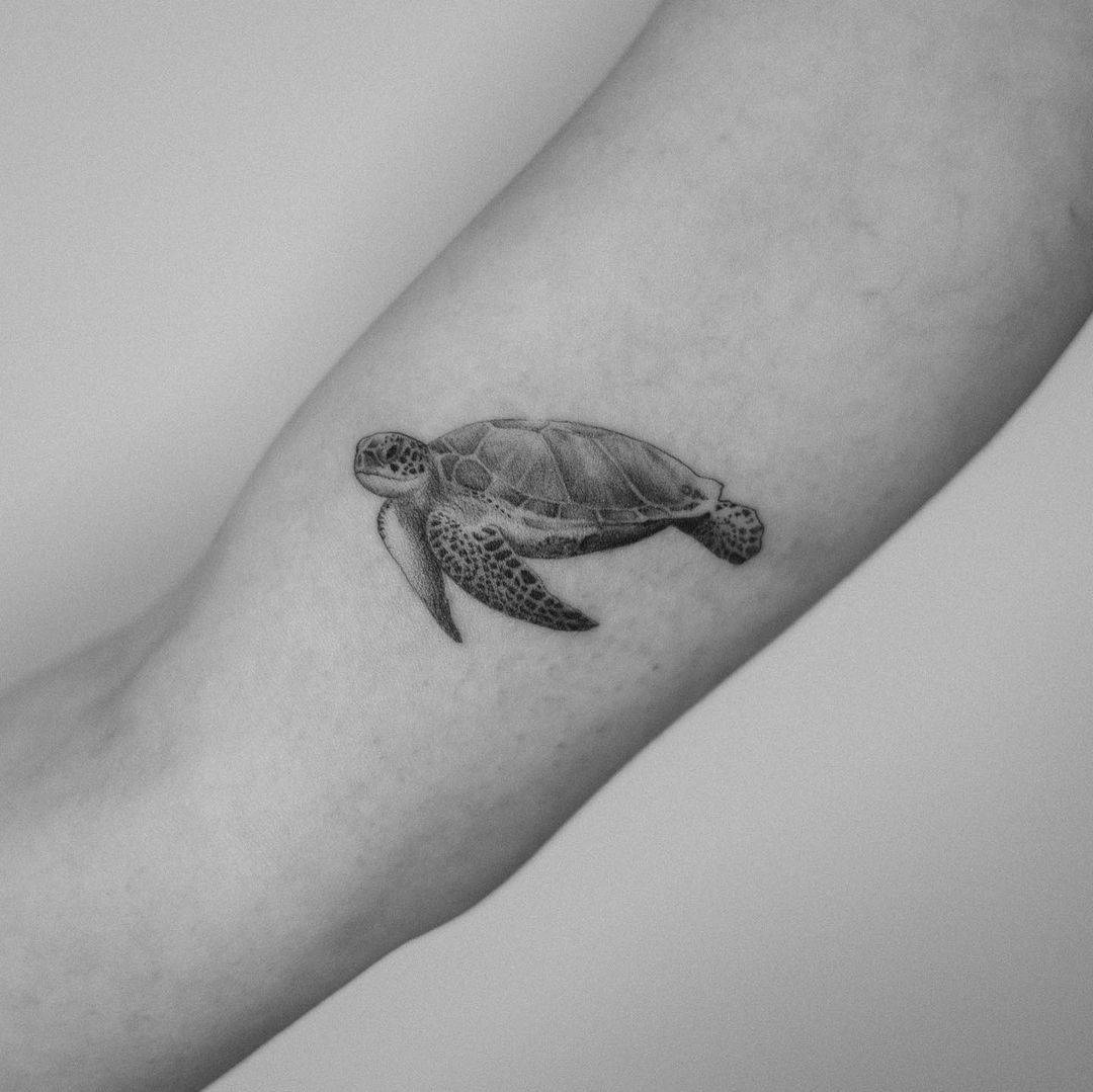 Tatuajes realistas de tortuga negra y gris 2