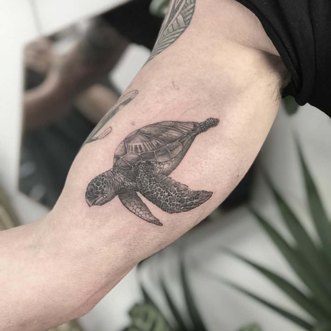 Tatuajes realistas de tortuga negra y gris 3
