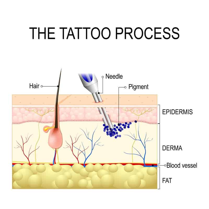 El proceso del tatuaje