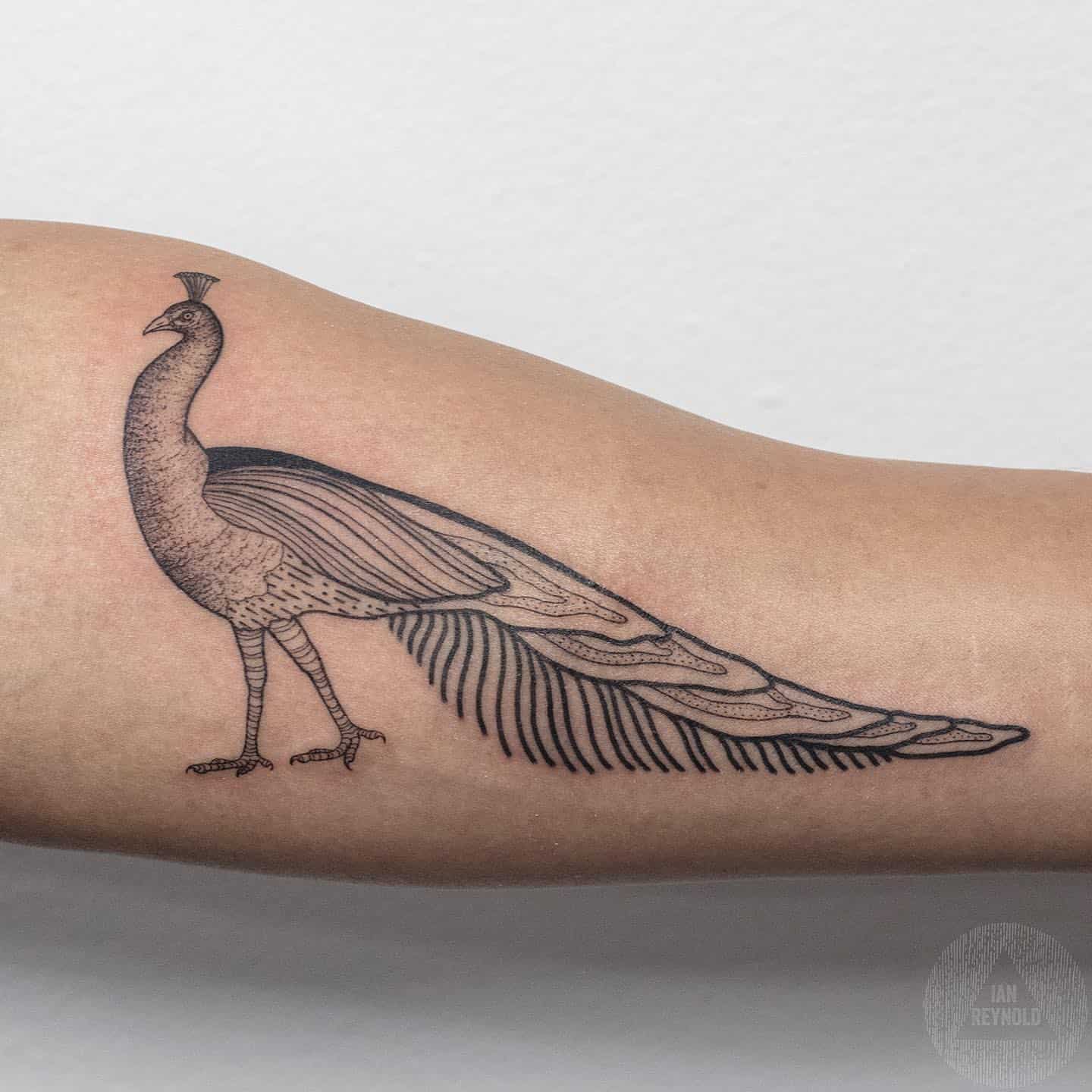 Significado del tatuaje del pavo real 2