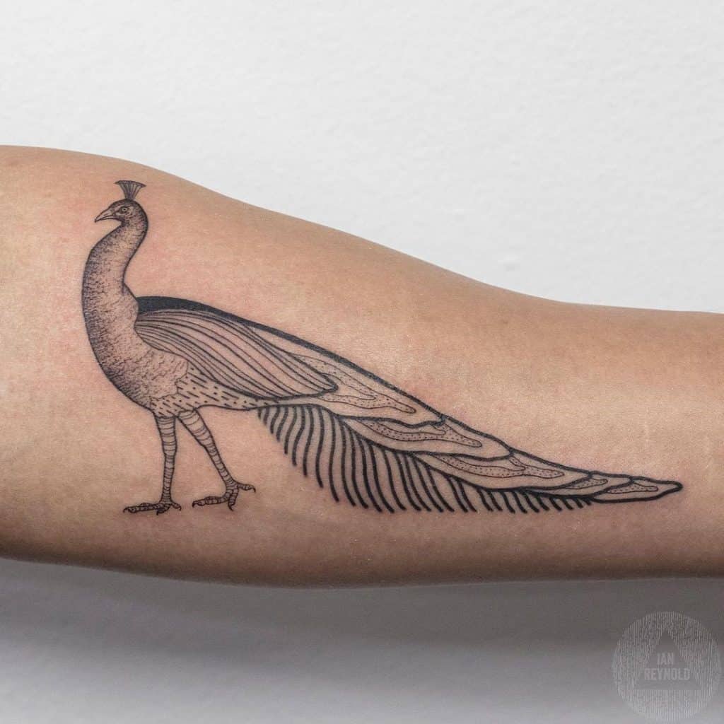 Diseño negro del tatuaje de los pavos reales