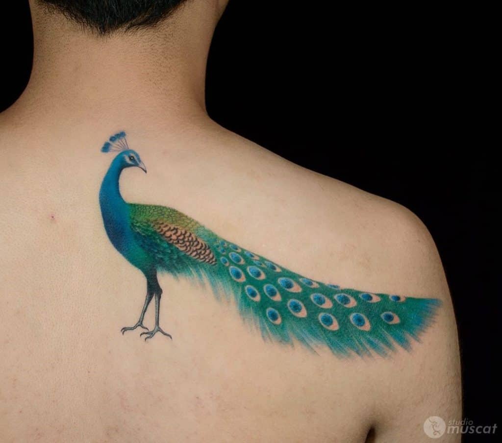 Magnífico pavo real espalda tatuaje impresión