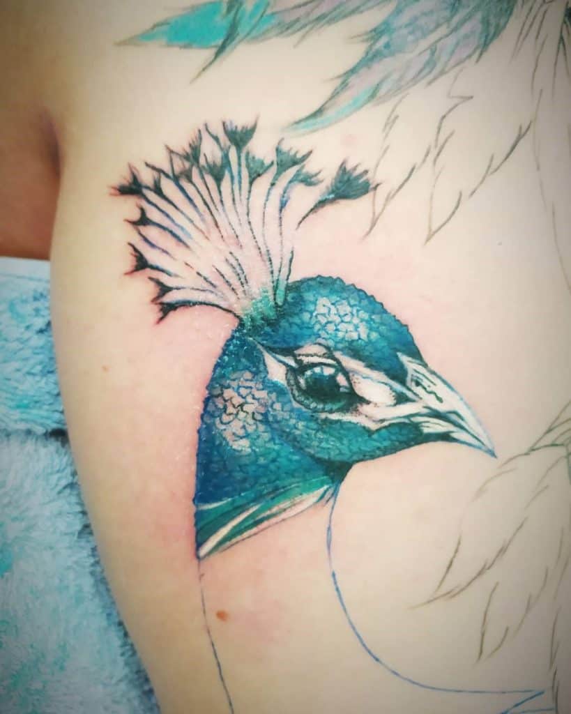 Idea de tatuaje de pavo real azul sobre el brazo 