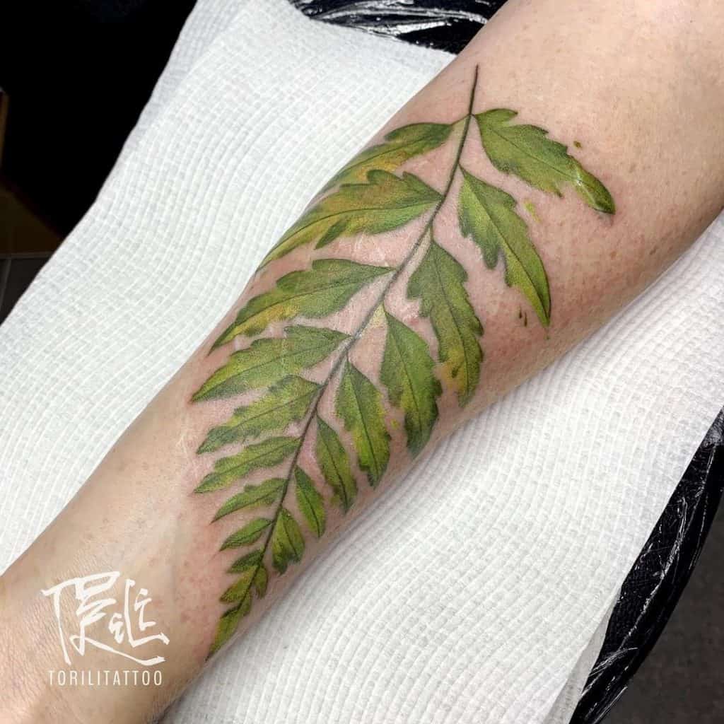 Tatuaje Helecho Antebrazo Estampado Verde 