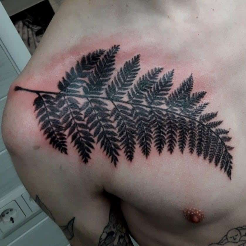 Pecho Helecho Tatuaje Negro Inspiración 