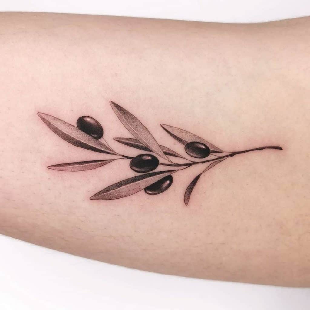 Tatuaje tradicional de rama de olivo 3