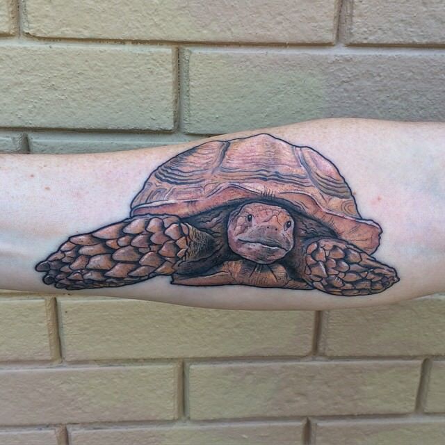 1656866735 615 85 tatuajes de tortugas alucinantes y su significado