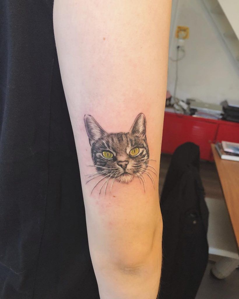1657466495 559 135 tatuajes de gatos alucinantes y su significado