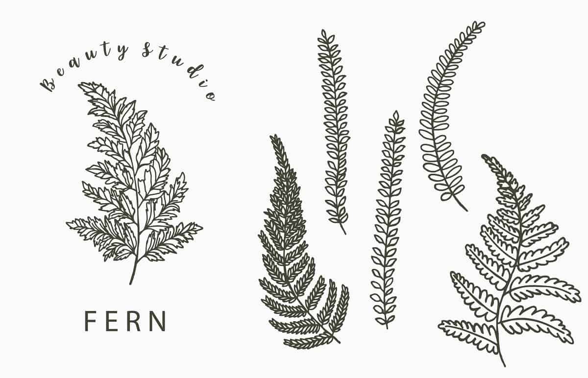 Fern Tattoo Design Ideas