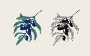 Más de 40 mejores diseños de tatuajes de rama de olivo.  Significados antiguos y modernos