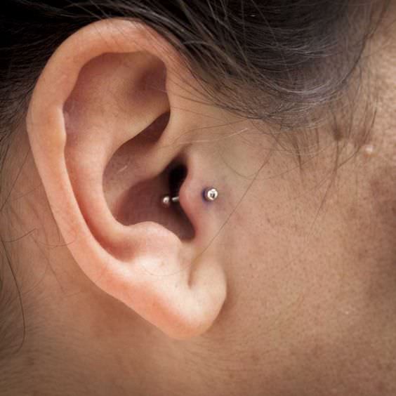 Piercings de trago guia e imagenes