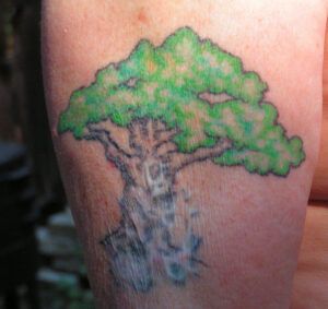 Cicatrización del tatuaje: causas principales y 5 formas de solucionarlo